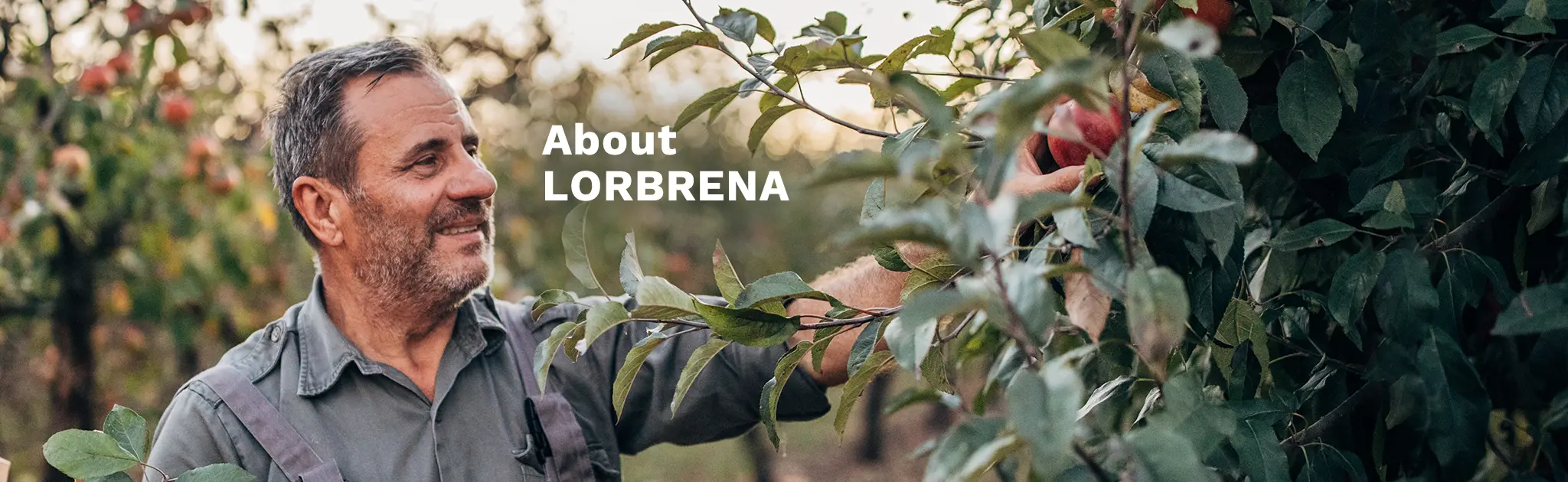 Learn more about LORBRENA (lorlatinib) and understand how it works